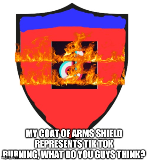 My Coat Of Arms Shield (LaceyRobbins1) | MY COAT OF ARMS SHIELD REPRESENTS TIK TOK BURNING, WHAT DO YOU GUYS THINK? | image tagged in my coat of arms shield laceyrobbins1 | made w/ Imgflip meme maker