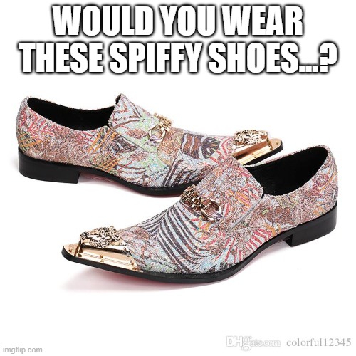 Haha | WOULD YOU WEAR THESE SPIFFY SHOES...? | image tagged in lol so funny | made w/ Imgflip meme maker