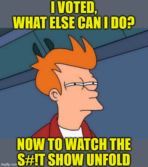 Futurama Fry | I VOTED,
WHAT ELSE CAN I DO? NOW TO WATCH THE
S#!T SHOW UNFOLD | image tagged in memes,futurama fry,donald trump,joe biden,2020 elections,what can i say except you're welcome | made w/ Imgflip meme maker