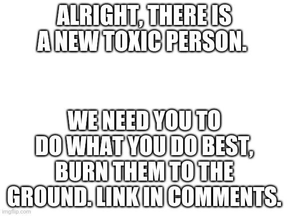 Blank White Template | ALRIGHT, THERE IS A NEW TOXIC PERSON. WE NEED YOU TO DO WHAT YOU DO BEST, BURN THEM TO THE GROUND. LINK IN COMMENTS. | image tagged in blank white template | made w/ Imgflip meme maker