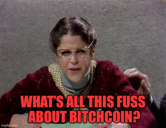 Emily Litella | WHAT’S ALL THIS FUSS
 ABOUT BITCHCOIN? | image tagged in emily litella | made w/ Imgflip meme maker