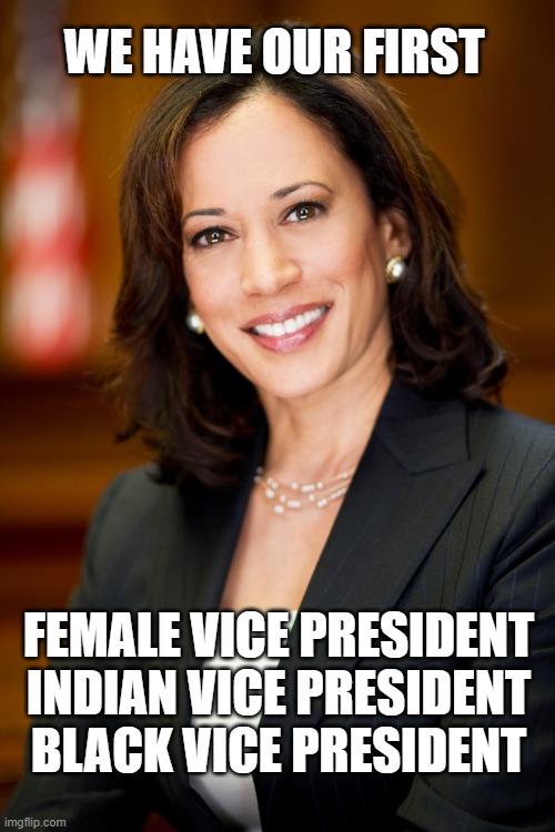 In order to form a More Perfect Union | WE HAVE OUR FIRST; FEMALE VICE PRESIDENT
INDIAN VICE PRESIDENT
BLACK VICE PRESIDENT | image tagged in kamala harris,history,united states of america | made w/ Imgflip meme maker