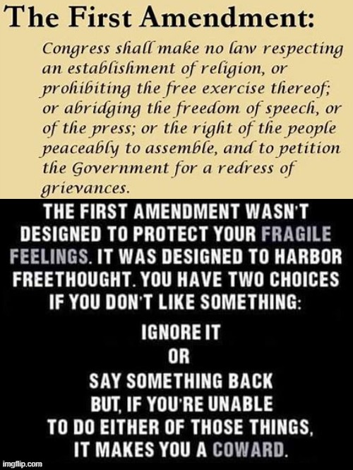 The First Amendment Was Not Designed To Protect Your Fragile Feelings! | image tagged in first amendment | made w/ Imgflip meme maker