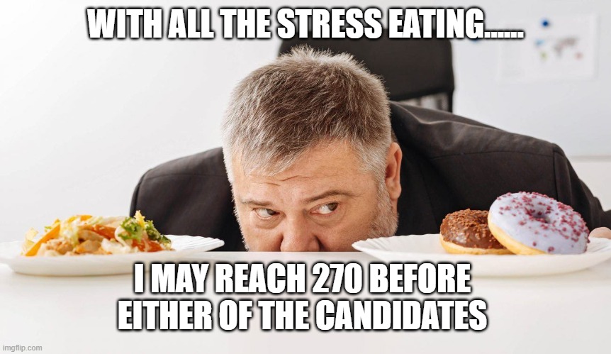 WITH ALL THE STRESS EATING...... I MAY REACH 270 BEFORE EITHER OF THE CANDIDATES | made w/ Imgflip meme maker