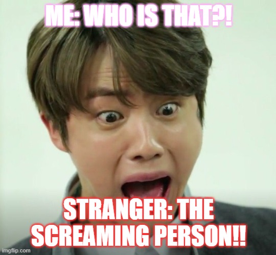BTS Jin Is ScReAmInG | ME: WHO IS THAT?! STRANGER: THE SCREAMING PERSON!! | image tagged in bts | made w/ Imgflip meme maker