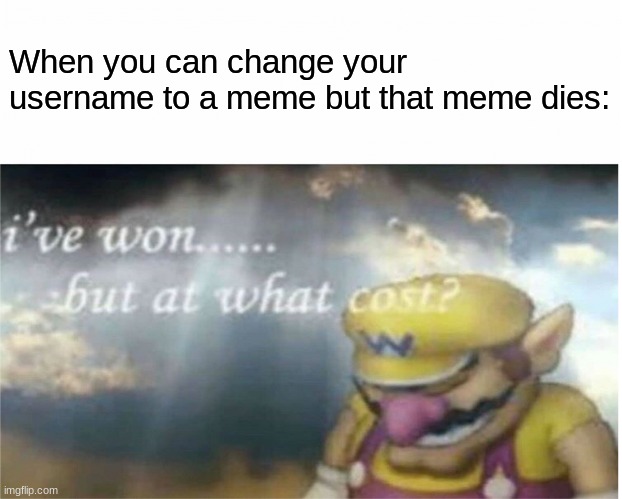 I won but at what cost | When you can change your username to a meme but that meme dies: | image tagged in i won but at what cost | made w/ Imgflip meme maker