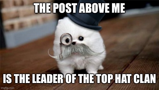 Top Hat Gang | THE POST ABOVE ME; IS THE LEADER OF THE TOP HAT CLAN | image tagged in top hat gang | made w/ Imgflip meme maker