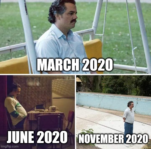 2020 | MARCH 2020; JUNE 2020; NOVEMBER 2020 | image tagged in memes,sad pablo escobar | made w/ Imgflip meme maker