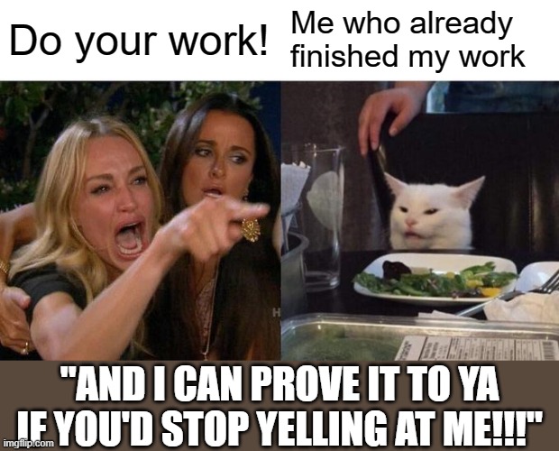 Woman Yelling At Cat Meme | Do your work! Me who already finished my work; "AND I CAN PROVE IT TO YA IF YOU'D STOP YELLING AT ME!!!" | image tagged in memes,woman yelling at cat | made w/ Imgflip meme maker