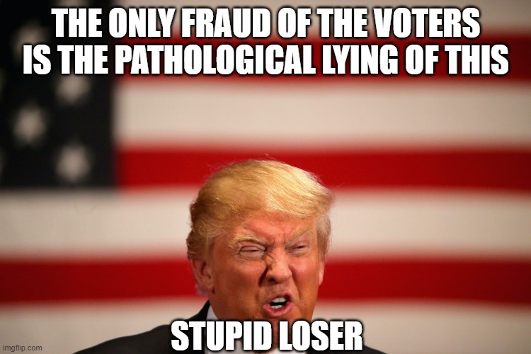 NO PROOF - NO EVIDENCE - ONLY LIES FROM THE BIGGEST LOSER | THE ONLY FRAUD OF THE VOTERS IS THE PATHOLOGICAL LYING OF THIS; STUPID LOSER | image tagged in liar in chief,liar liar pants on fire,corrupt,donald trump is an idiot,trump is an asshole,biden 2020 | made w/ Imgflip meme maker