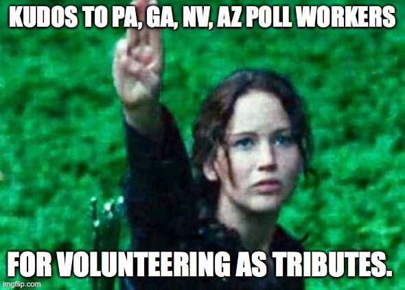 kudos to poll peeps | KUDOS TO PA, GA, NV, AZ POLL WORKERS; FOR VOLUNTEERING AS TRIBUTES. | image tagged in katniss salute | made w/ Imgflip meme maker