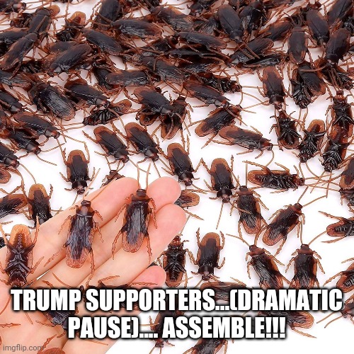 Trump Supporters | TRUMP SUPPORTERS...(DRAMATIC PAUSE).... ASSEMBLE!!! | image tagged in trump,trump supporters,election 2020 | made w/ Imgflip meme maker