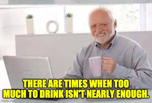 A drink a day keeps the shrink away. | THERE ARE TIMES WHEN TOO MUCH TO DRINK ISN'T NEARLY ENOUGH. | image tagged in harold | made w/ Imgflip meme maker