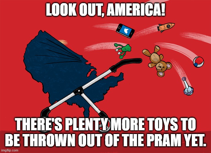 toys | LOOK OUT, AMERICA! THERE'S PLENTY MORE TOYS TO BE THROWN OUT OF THE PRAM YET. | image tagged in toys | made w/ Imgflip meme maker