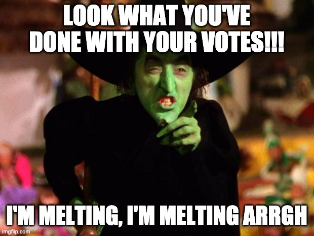 When The Election Is All Over | LOOK WHAT YOU'VE DONE WITH YOUR VOTES!!! I'M MELTING, I'M MELTING ARRGH | image tagged in wicked witch | made w/ Imgflip meme maker