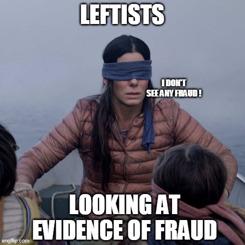 Bird Box Meme | LEFTISTS LOOKING AT EVIDENCE OF FRAUD I DON'T SEE ANY FRAUD ! | image tagged in memes,bird box | made w/ Imgflip meme maker