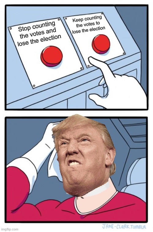 What is on the donald's head rn | Keep counting the votes to lose the election; Stop counting the votes and lose the election | image tagged in memes,two buttons,election 2020,donald trump | made w/ Imgflip meme maker