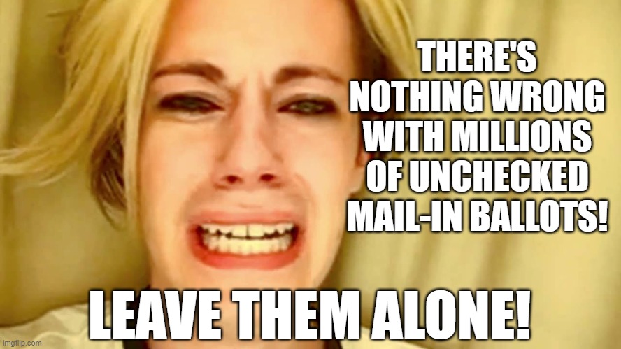 There's nothing to see here. Move along. | THERE'S NOTHING WRONG WITH MILLIONS OF UNCHECKED MAIL-IN BALLOTS! LEAVE THEM ALONE! | image tagged in mail-in ballots,memes,leave britney alone | made w/ Imgflip meme maker
