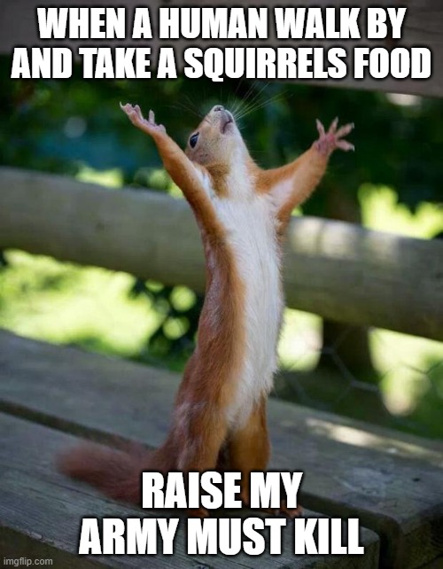 raise my army | WHEN A HUMAN WALK BY AND TAKE A SQUIRRELS FOOD; RAISE MY ARMY MUST KILL | image tagged in happy squirrel | made w/ Imgflip meme maker