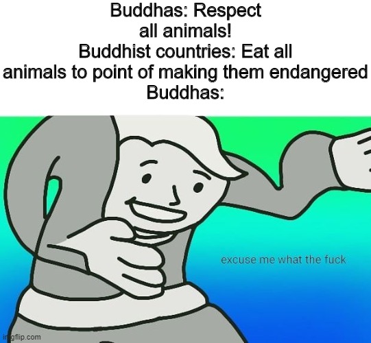 Looking at you, China | Buddhas: Respect all animals!
Buddhist countries: Eat all animals to point of making them endangered
Buddhas: | image tagged in fallout boy excuse me wyf,memes,buddhism,animals | made w/ Imgflip meme maker