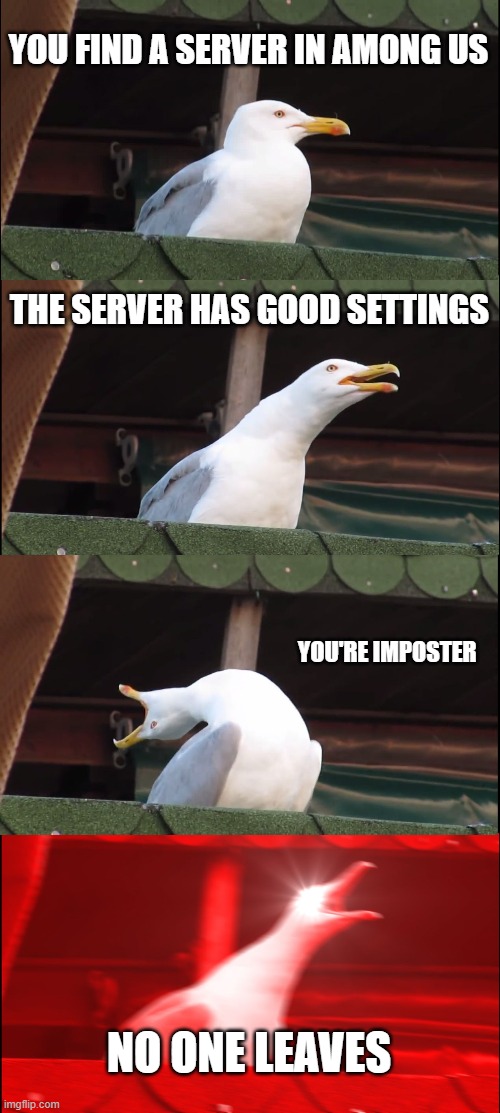 Inhaling Seagull | YOU FIND A SERVER IN AMONG US; THE SERVER HAS GOOD SETTINGS; YOU'RE IMPOSTER; NO ONE LEAVES | image tagged in memes,inhaling seagull | made w/ Imgflip meme maker