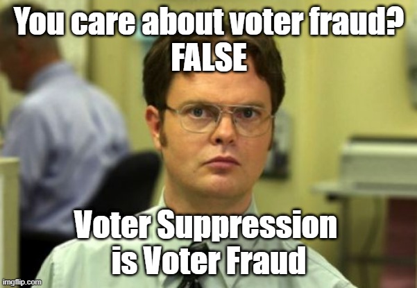 False | You care about voter fraud?
FALSE; Voter Suppression 
is Voter Fraud | image tagged in false | made w/ Imgflip meme maker