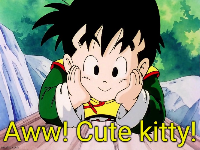 Cute Gohan (DBZ) | Aww! Cute kitty! | image tagged in cute gohan dbz | made w/ Imgflip meme maker