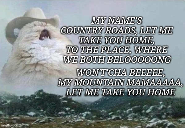 Country Cat | MY NAME'S COUNTRY ROADS, LET ME TAKE YOU HOME, TO THE PLACE, WHERE WE BOTH BELOOOOONG; WON'T'CHA BEEEEE, MY MOUNTAIN MAMAAAAA, LET ME TAKE YOU HOME | image tagged in country cat,bad pickup lines | made w/ Imgflip meme maker
