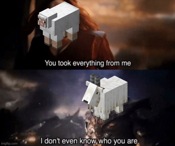 sheep vs goat | image tagged in you took everything from me - i don't even know who you are,minecraft,sheep,goat,funny memes,caves and cliffs | made w/ Imgflip meme maker