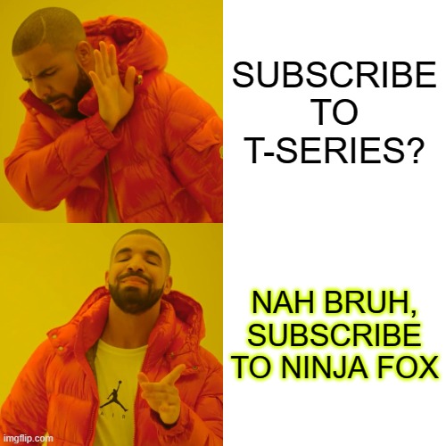 Drake Hotline Bling | SUBSCRIBE TO T-SERIES? NAH BRUH, SUBSCRIBE TO NINJA FOX | image tagged in memes,drake hotline bling | made w/ Imgflip meme maker