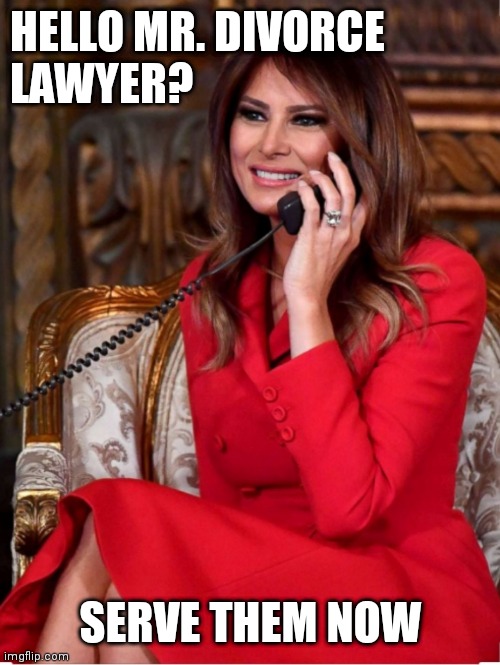 Melania Donald Trump | HELLO MR. DIVORCE 
LAWYER? SERVE THEM NOW | image tagged in melania trump,divorce,donald trump | made w/ Imgflip meme maker
