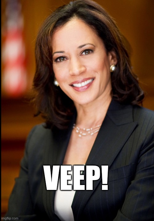 VEEP! | VEEP! | image tagged in kamala harris,joe biden | made w/ Imgflip meme maker