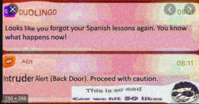 oh no... | image tagged in repost,beg for mercy in spanish,duolingo,oh no | made w/ Imgflip meme maker