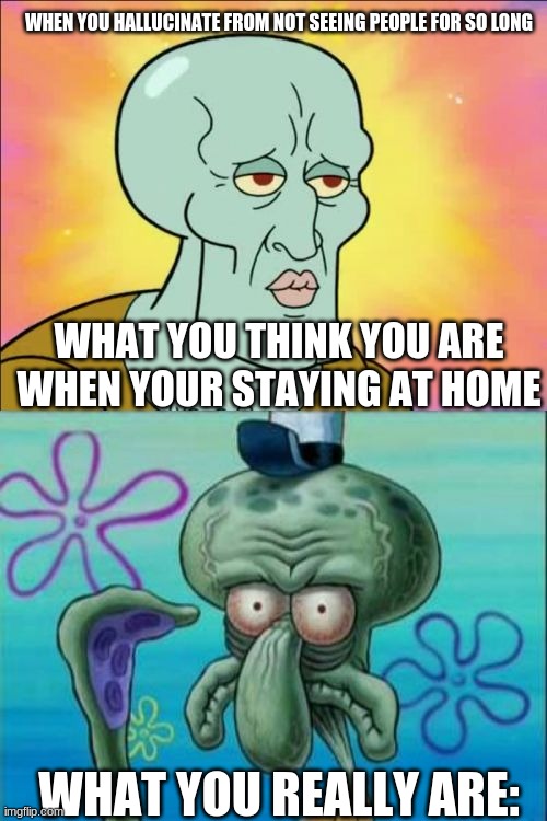 when you start hallucinating from quarantine | WHEN YOU HALLUCINATE FROM NOT SEEING PEOPLE FOR SO LONG; WHAT YOU THINK YOU ARE WHEN YOUR STAYING AT HOME; WHAT YOU REALLY ARE: | image tagged in memes,squidward | made w/ Imgflip meme maker