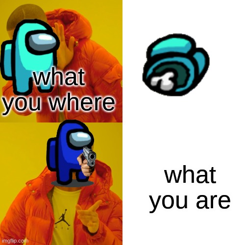 what you where and are.(among us) | what you where; what you are | image tagged in memes,drake hotline bling | made w/ Imgflip meme maker