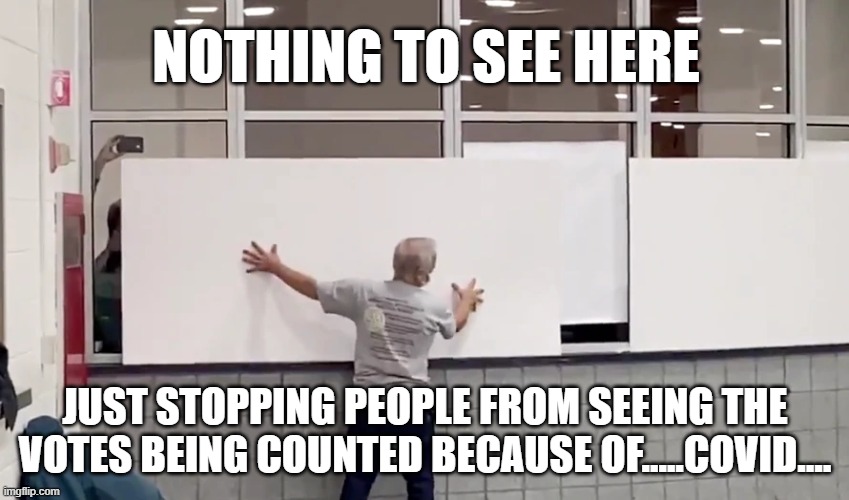 Why don't they want people watching? | NOTHING TO SEE HERE; JUST STOPPING PEOPLE FROM SEEING THE VOTES BEING COUNTED BECAUSE OF.....COVID.... | image tagged in memes,politics,voter fraud | made w/ Imgflip meme maker