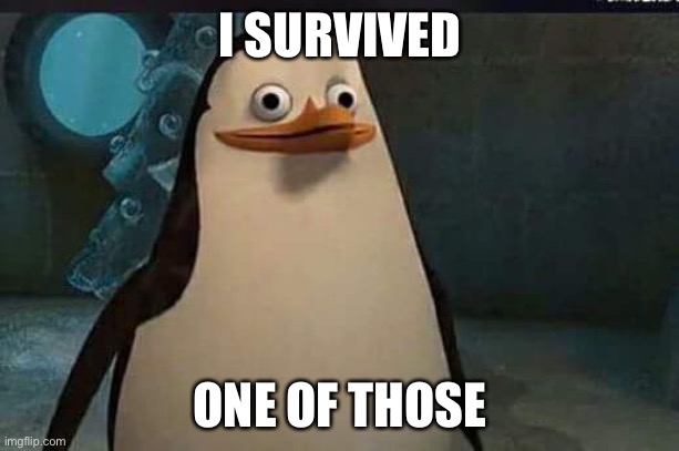 Madagascar penguin | I SURVIVED ONE OF THOSE | image tagged in madagascar penguin | made w/ Imgflip meme maker