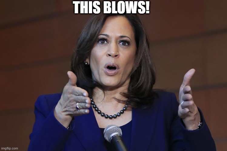 THIS BLOWS! | image tagged in kamala harris,election 2020,democrats,republicans,socialism,not my president | made w/ Imgflip meme maker