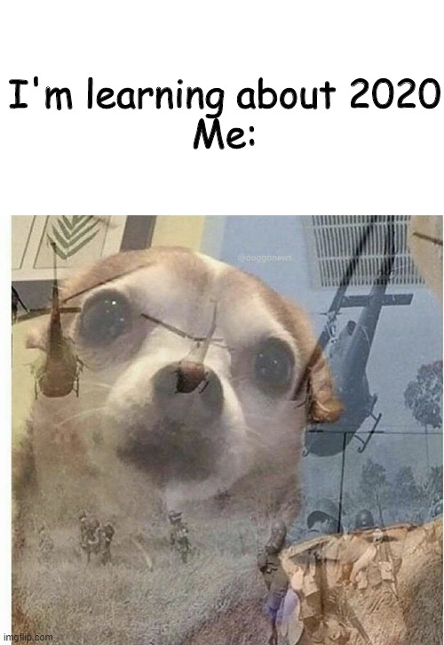 PTSD Chihuahua | I'm learning about 2020
Me: | image tagged in ptsd chihuahua | made w/ Imgflip meme maker