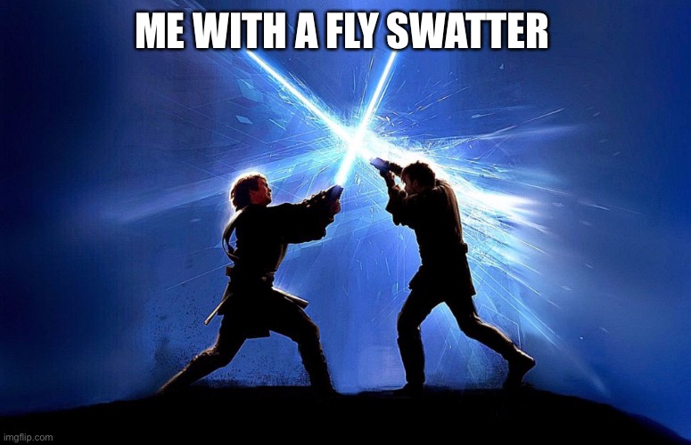 Battle of the heroes | ME WITH A FLY SWATTER | image tagged in lightsaber battle | made w/ Imgflip meme maker