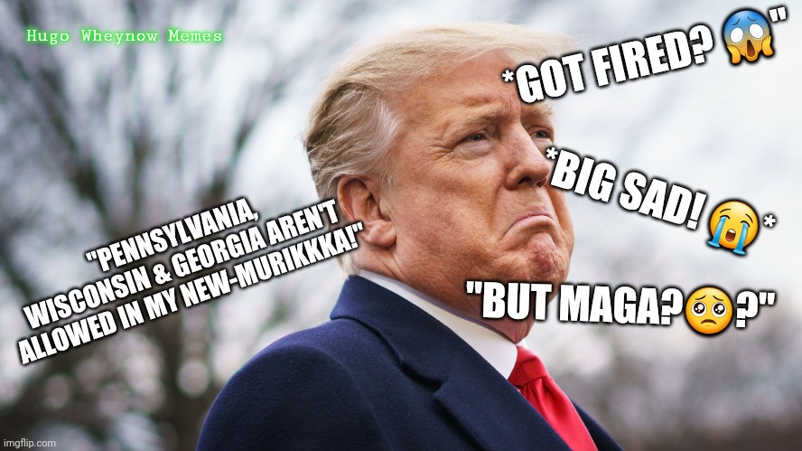 Sad Donny | *GOT FIRED? 😱"; Hugo Wheynow Memes; *BIG SAD! 😭*; "PENNSYLVANIA, WISCONSIN & GEORGIA AREN'T ALLOWED IN MY NEW-MURIKKKA!"; "BUT MAGA?🥺?" | image tagged in donald trump you're fired,bye felicia,election 2020,maga,dummy | made w/ Imgflip meme maker