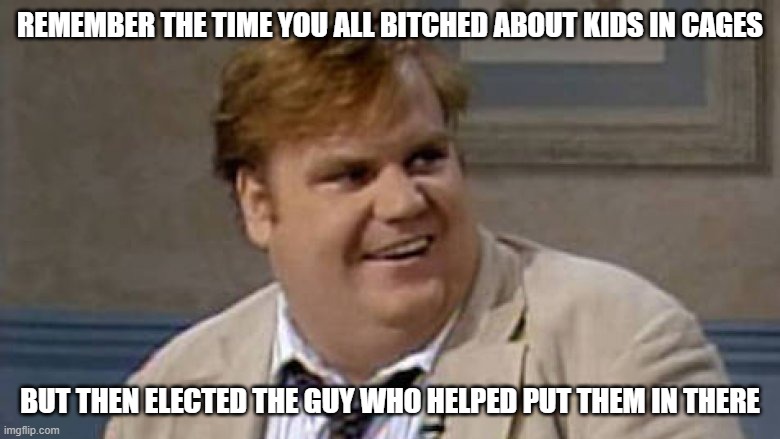 Chris Farley Awesome | REMEMBER THE TIME YOU ALL BITCHED ABOUT KIDS IN CAGES; BUT THEN ELECTED THE GUY WHO HELPED PUT THEM IN THERE | image tagged in chris farley awesome | made w/ Imgflip meme maker