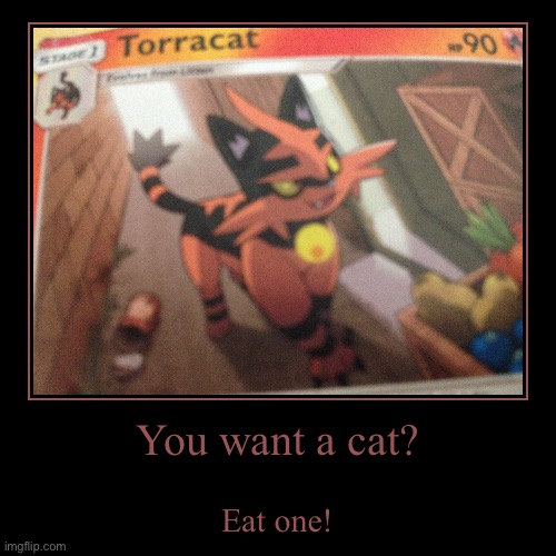 torracat | image tagged in funny,demotivationals | made w/ Imgflip demotivational maker