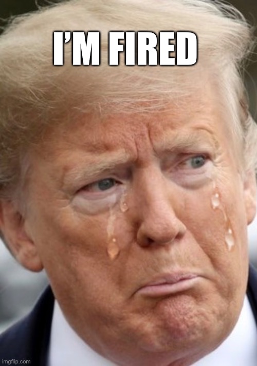 Trump Gets Fired | I’M FIRED | image tagged in donald trump,joe biden,election | made w/ Imgflip meme maker