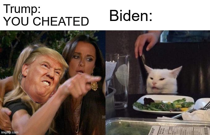 I did nothing :( | Trump: 
YOU CHEATED; Biden: | image tagged in memes,woman yelling at cat,election 2020 | made w/ Imgflip meme maker