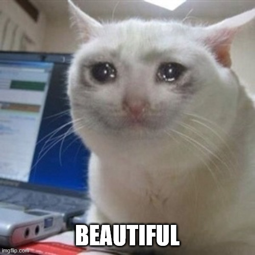 Crying cat | BEAUTIFUL | image tagged in crying cat | made w/ Imgflip meme maker