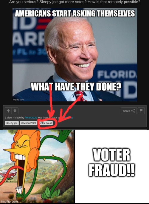 vOtEr fRaUd! | VOTER FRAUD!! | image tagged in angry flower | made w/ Imgflip meme maker