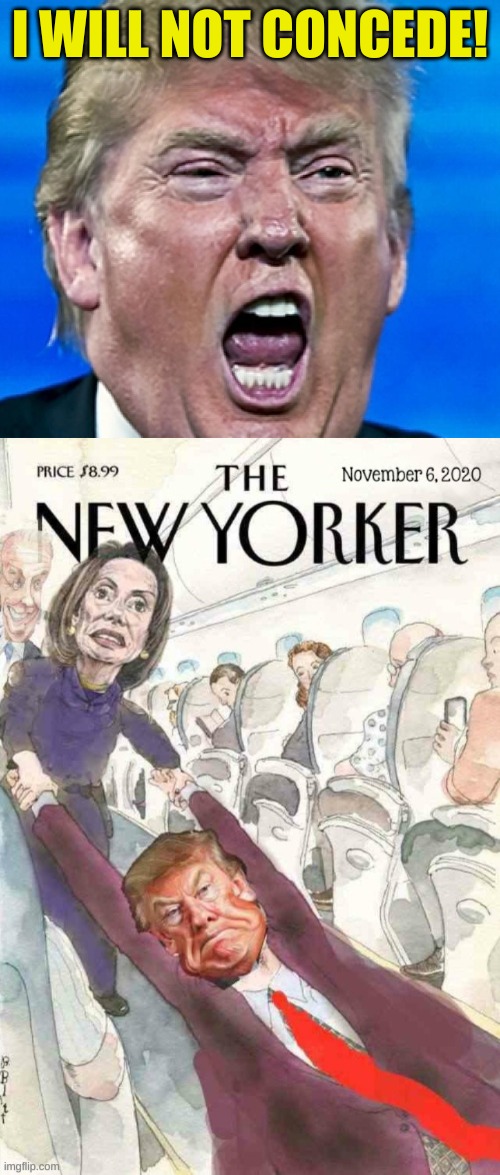 if you don't go quietly... | I WILL NOT CONCEDE! | image tagged in trump yelling,nancy pelosi,dragged off plane,trump loses,election 2020 | made w/ Imgflip meme maker