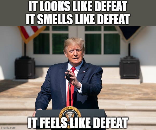 Words he will never say | IT LOOKS LIKE DEFEAT IT SMELLS LIKE DEFEAT; IT FEELS LIKE DEFEAT | image tagged in donald trump podium,concession,speech,politics | made w/ Imgflip meme maker