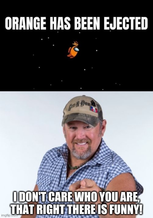 The things you find online | I DON'T CARE WHO YOU ARE, THAT RIGHT THERE IS FUNNY! | image tagged in larry the cable guy,among us,orange | made w/ Imgflip meme maker